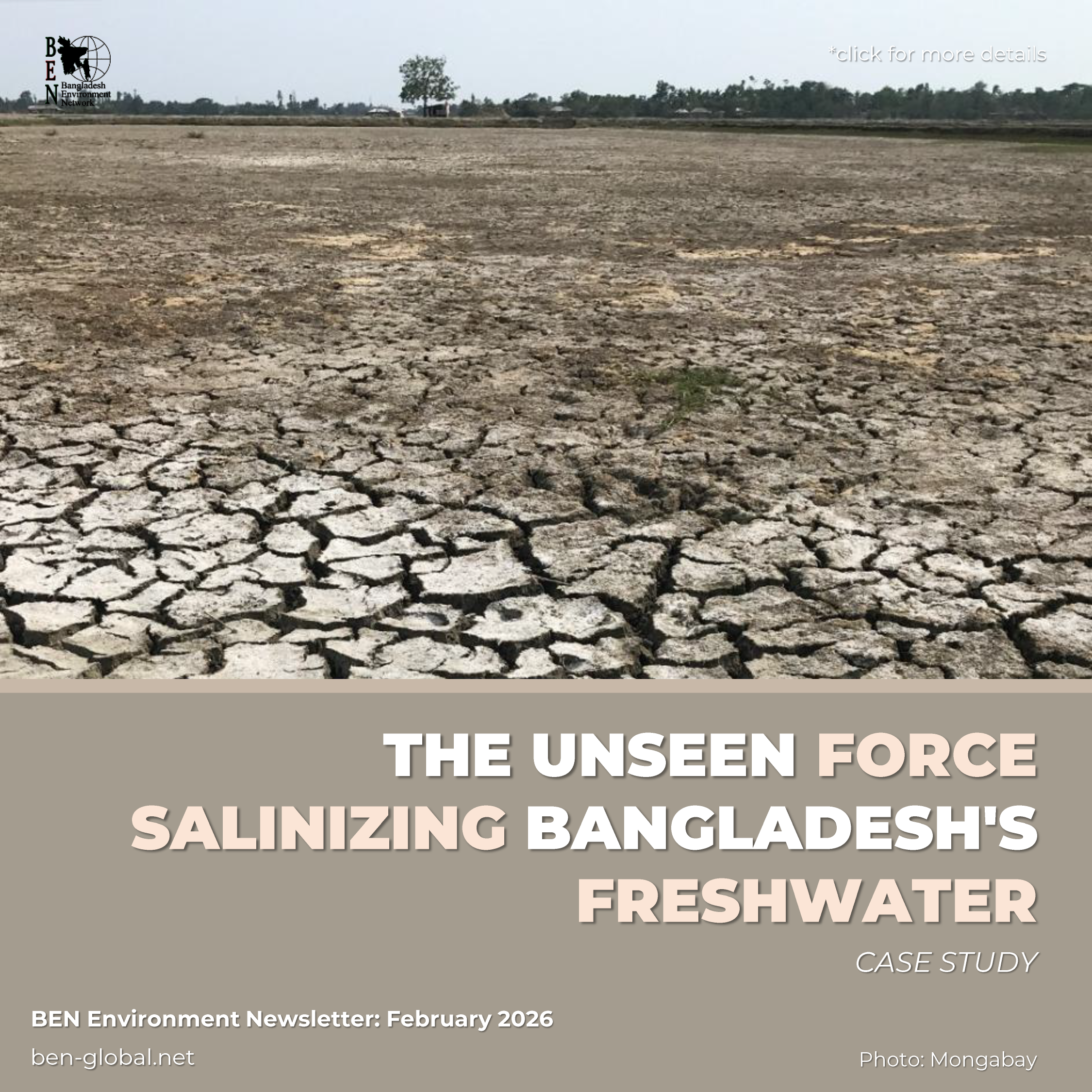 February Feature Card