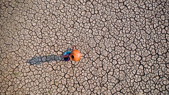 Rapid Development of a Strong El Niño System Poses Severe Climate and Agricultural Risks in Bangladesh